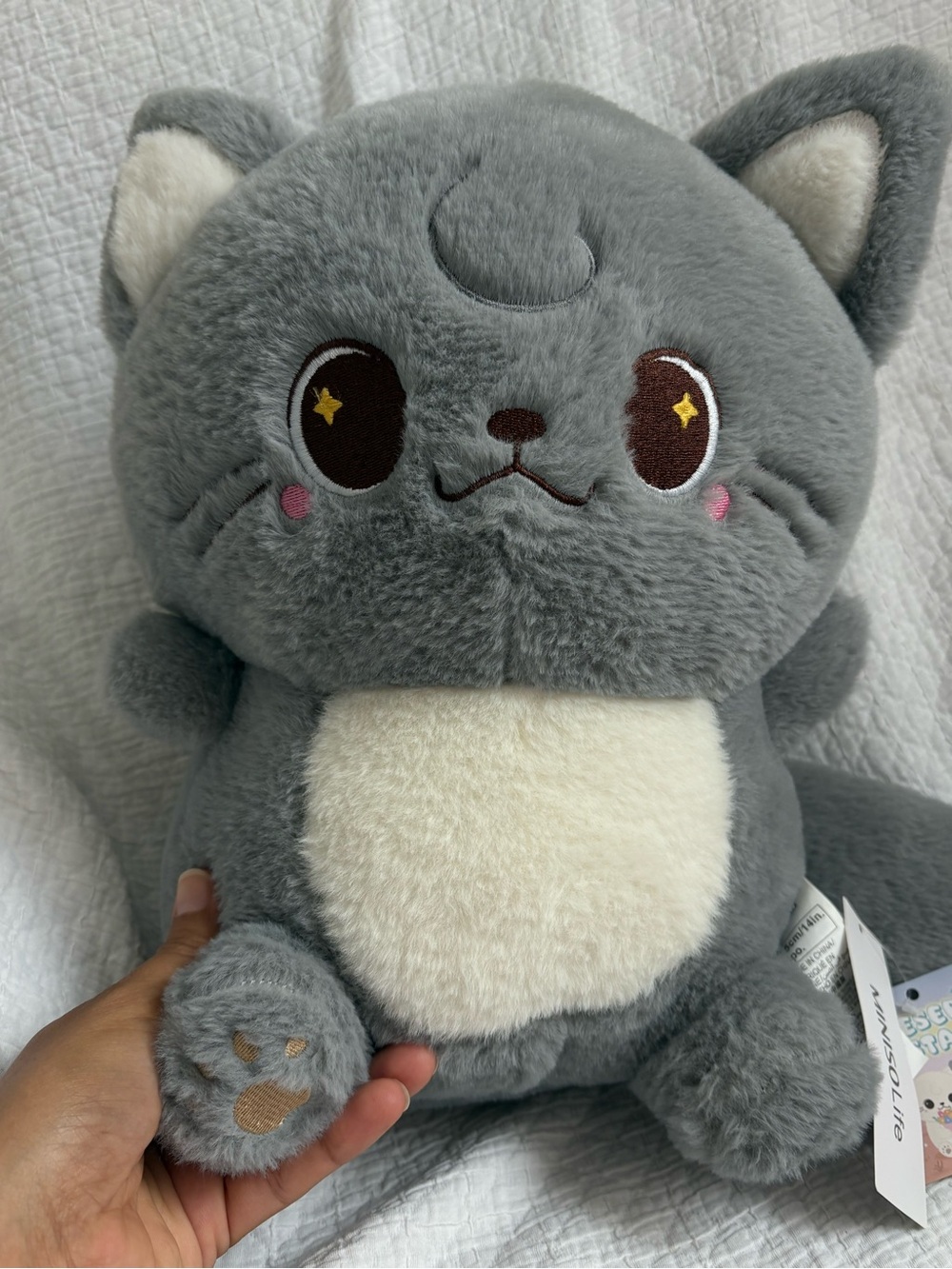 Gray Plush Cat Stuffed Toy with Cream Belly - Cute Plush for Kids